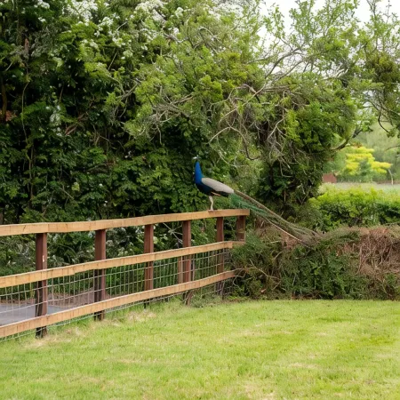 3 Bedroom idyllic countryside cottage in the middle of rural Wiltshire Отели в г. Девицес