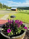 Elk City Escape - Amazing Views, Elk, & Wildlife - Homestays