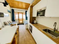 Belle Plagne 38m² duplex apartment at the foot of the slopes - Homestays