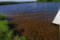 500' Lakeshore, 2 Docks, Sand Beach, Sleeps 10, A/C, Pontoon Boat for Rent - Wifi