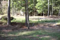 "Sweet Dreams"  -  Near Mentone and Desoto State Park