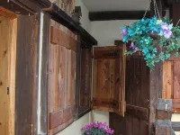apartment/ flat - Falcade Hotel a Falcade