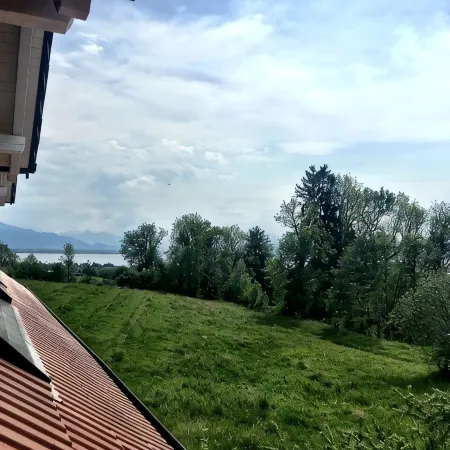 Get up with SEEBLICK style apartments mountain and lake view and terrace in Lindau