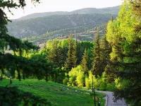 Vail Valley Condo-Downdown, Pool/Hot Tub, Ski, Bike, Fish, Restaurants, Movies Hotels in Edwards