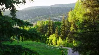 Vail Valley Condo-Downdown, Pool/Hot Tub, Ski, Bike, Fish, Restaurants, Movies