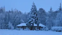 Award-Winning 5 Star Luxury Retreat - Hot Tub, Sauna, Tennis, Fishing, Sky, Golf - Homestays