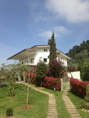 Villa Sara near the Tuscan cities of art and the beautiful beaches in Versilia