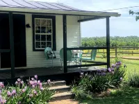 Bloomingdale Honeymoon Cabin Vintage Retreat with Mountain Views