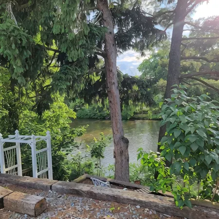 Magnolia River Charming house in fantastic Friendsville with WiFi, AC
