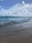 Beach Villa • Steps to Bavaro Beach • Ocean-View Rooftop • 2Br/2BA • Los Corales - فلل