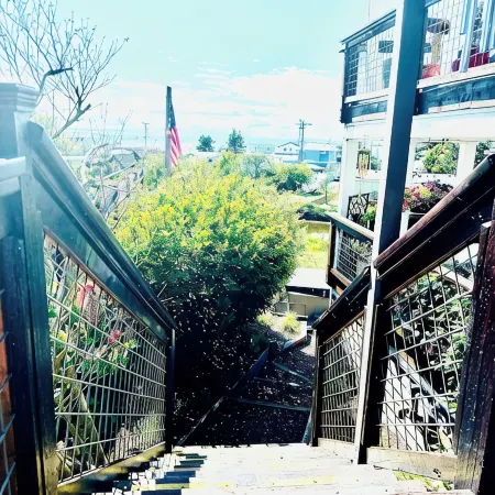 COZY Seaside Studio - just mins from beach - FREE EV Charging.