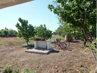 TRE NOCI HOUSE: near the sea Hotels in Lascari
