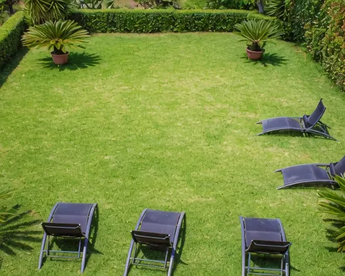 Best Western Hotel la Conchiglia Hotels in Centola