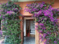 Bouganville Portovenere – Beachfront – Invaluable Landing stage on the sea - 3-Star