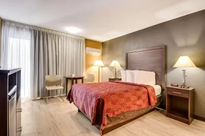 Econo Lodge Busch Gardens Hotels in Tampa