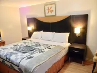 American Plaza Motel - Motels