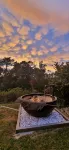 Tranquil Studio Retreat in Leura with Private Bush Outlook. - Wifi