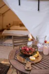 Beautiful Tent at Camp Northern Lights! - Homestays