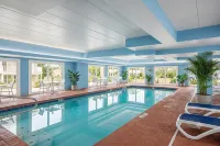 Flamingo Motel - Motels