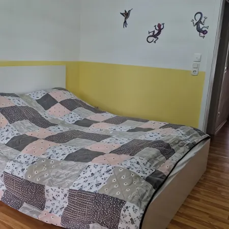Ferienwohnung in Sankt Englmar Inmitten von Bayerischen Wald