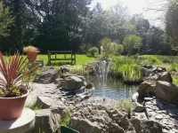 Rosemead Guest House - Homestays