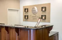 Comfort Inn Gurnee Near Six Flags