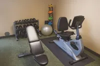 La Quinta Inn & Suites by Wyndham Springfield Airport Plaza - Gym