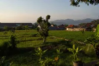 Hotel Purnama Mulia - مسبح