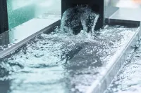 Fujisan Mishima Tokyu Hotel - avec sources thermales