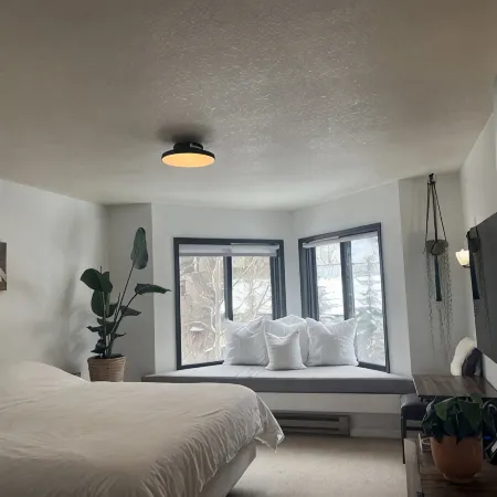 Telluride Viking Condo with River and Mountain Views!