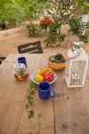 Off grid living! Enjoy and love the Nature! - Wifi