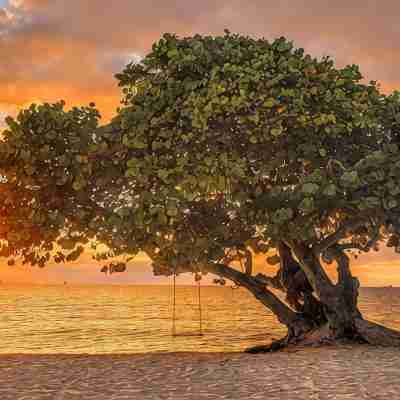 The Grandest of Grandviews on 7 Mile Beach!  2nd floor 2 bed-2 bath beachfront! Others