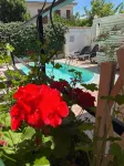 Beatrice Home - Pools