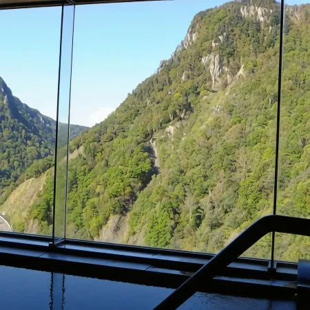 Hotel Taisetsu Onsen&Canyon Resort