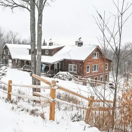 Dog Friendly Log Cabin + Wood Stove + Sauna + High Speed WiFi! 25 Min to Stowe!