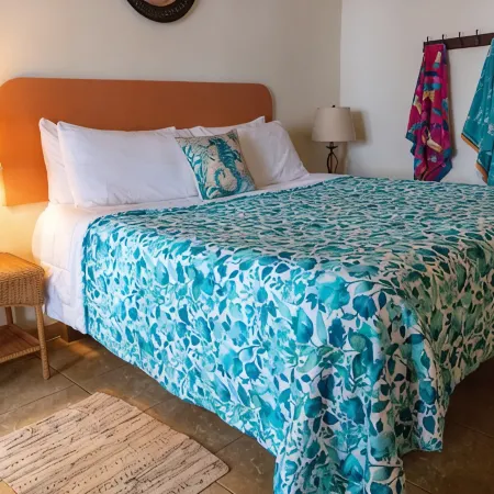 Villa Isabella - Oceanfront - 10 guests - pet friendly - at Stella, Rincón