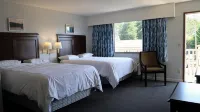 Skylite Motel - Wifi