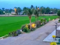 พิมพ์ชนก รีสอร์ท