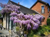 Hayeswood Lodge Luxury Accommodation Hotels in Stanley Common