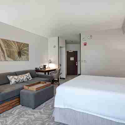 SpringHill Suites Terre Haute Rooms