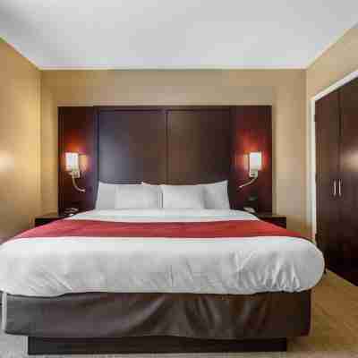 Comfort Suites-Youngstown North Rooms