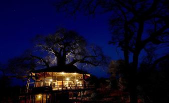 a nighttime scene of a wooden house surrounded by trees , with a large tree in the background at Elewana Tarangire Treetops
