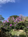 La Maracuyá Hotels in Playa Coronado