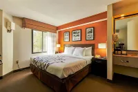 Bob Hotels Tallahassee - Boutique on Budget