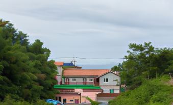 1. 경주 주상절리 ..