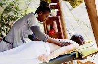 The Wild Olive Tree Camp - Campgrounds