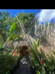 Tropical Samana Hotels in El Limon