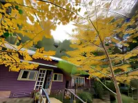 Xianshan Homestay Hotels in Toufen City