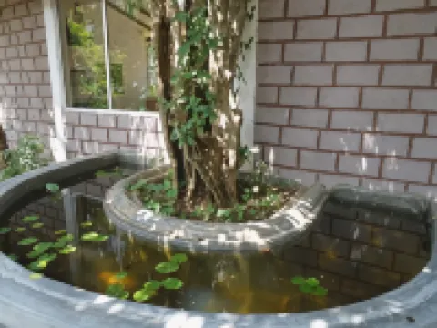Livinginn Polonnaruwa