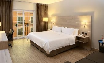 Holiday Inn Express Torreon